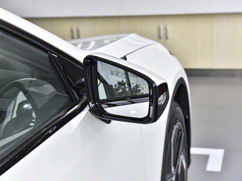 2025�� 530Max  �����Ǽ�AD PRO�����