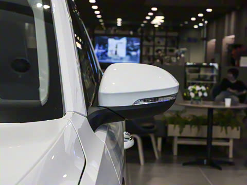 2025�� 280TSI DSG����ʱ���