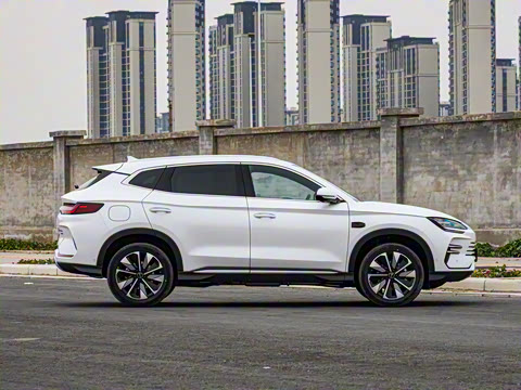 2025�� DM-i �Ǽݰ� 112KM ������