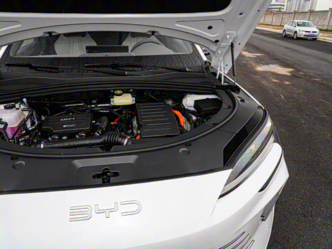 2025�� DM-i �Ǽݰ� 112KM ������