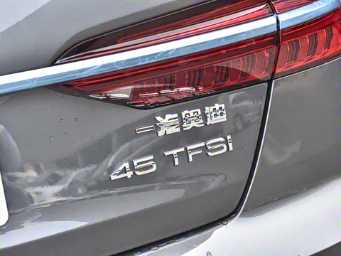 2025�� �Ŀ� 45 TFSI ��ѡ������