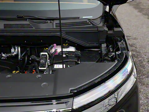 2025�� �캽��