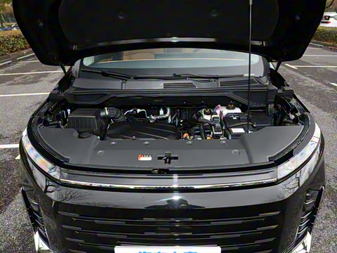 2025�� �캽��