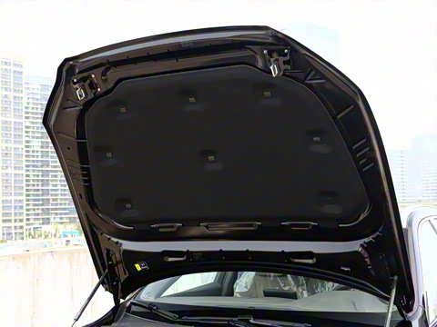 2026�� B5 �������ݺ�����