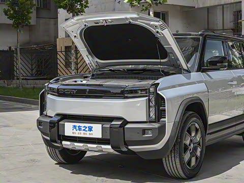 2025�� 501���������