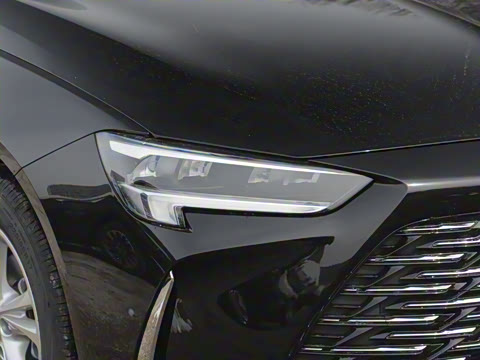 2024�� �Ŀ� 25T ������