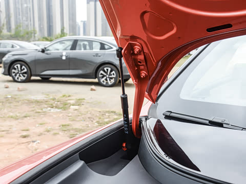 2025�� Max�����