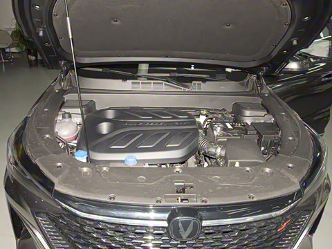 2025�� 1.5T DCT���ܰ�