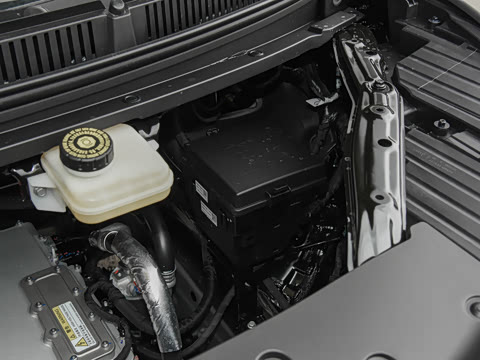 2025�� EV ��������