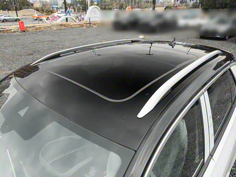 2025�� 300TSI DSG���������