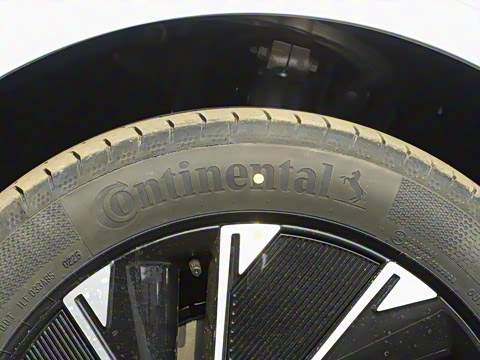 2024�� Pro+�����