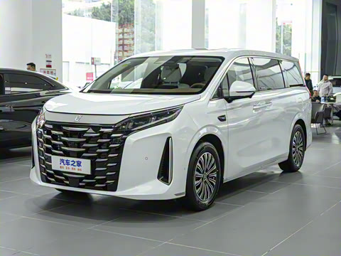 2025�� DM-i 1.5T 100km ��Խ��