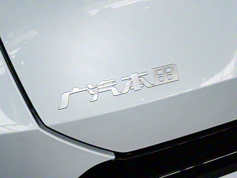 2025�� ����������Pro