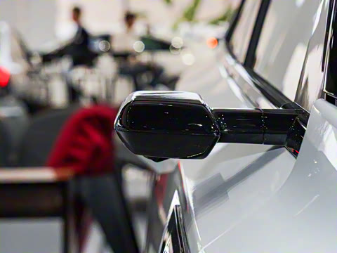 2025�� ����������Pro