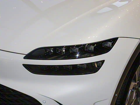 2024�� ���������������