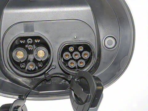 2024�� ���������������