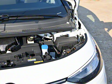 2025�� �Ŀ� ������ ����������