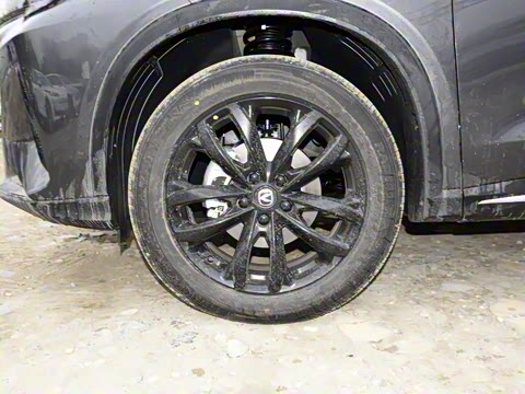 2025�� 1.5T DCT���ܰ�