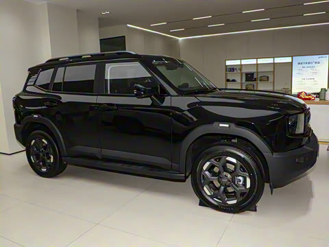 2025�� 2.0TD XWD����