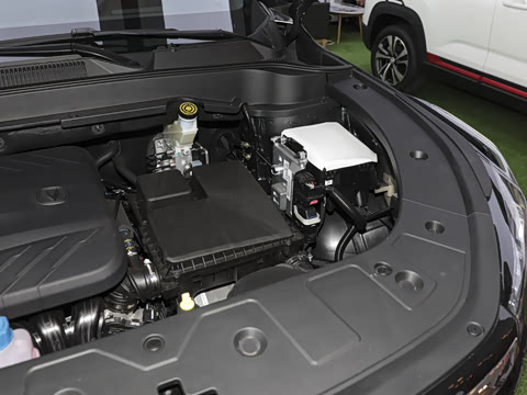 2025�� �ǻ������� 125km ս����