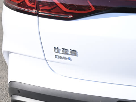 2025�� DM-i �Ǽݰ� 80KM��Խ��