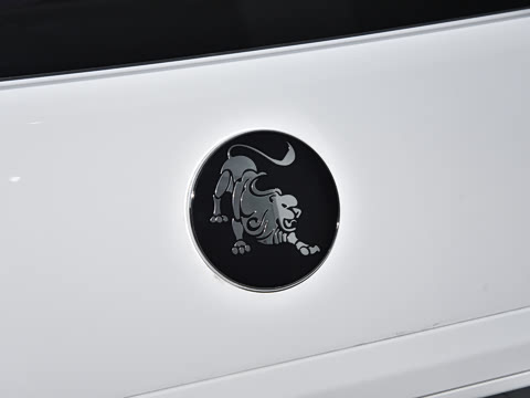 2024�� 2.0L �ֶ�������CNG 7��