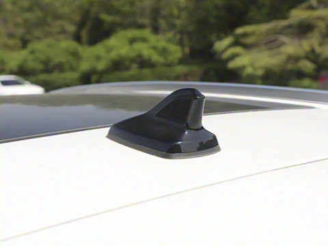 2025�� ������PURE+��