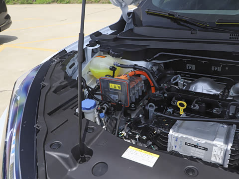 2025�� 205��������������