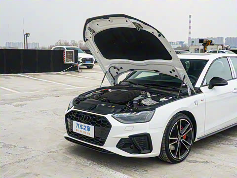 2025�� 200���������� 45 TFSI quattro ��ѡ������