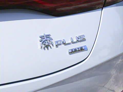 2025�� DM-i �Ǽݰ� 120KM��Խ��