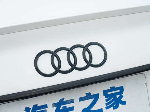 2025�� 200���������� 45 TFSI quattro ��ѡ������