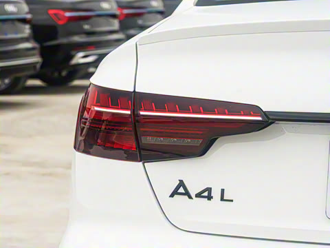 2025�� 200���������� 45 TFSI quattro ��ѡ������