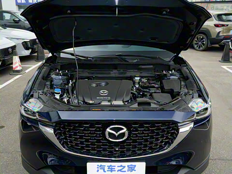 2025�� 2.0L �Զ�����������