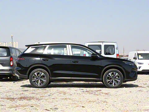 2025�� �ڶ��� DM-i 115KM��Խ��