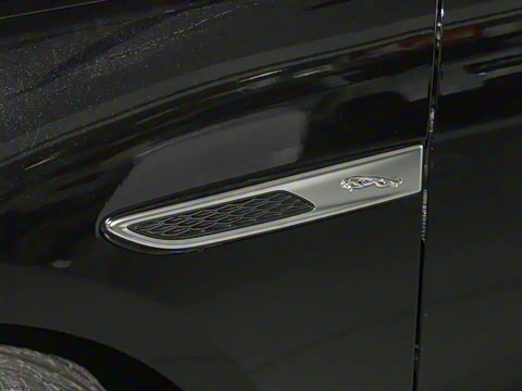 2025�� P250 R-Dynamic S