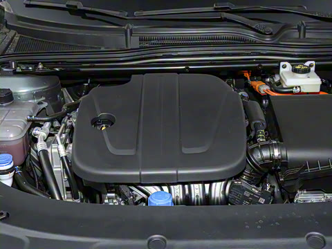 2025�� �������̰� 230�콢��