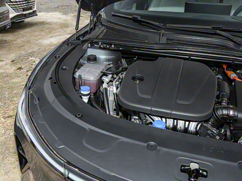 2025�� �������̰� 230�콢��