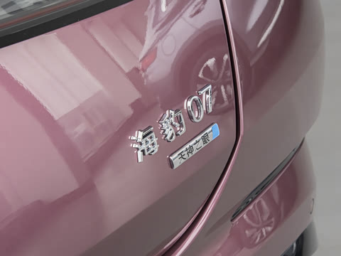 2025�� �Ǽݰ� DM-i 1.5L 125km ������