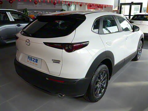 2024�� 2.0L �ֶ�������