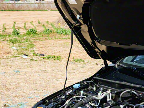 2025�� 240TURBO CVT ��ȤPro