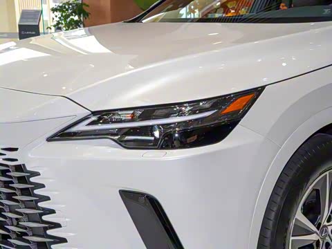 2025�� 350h ����������