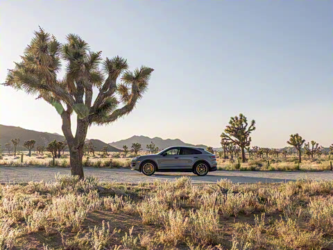 2025�� Cayenne Coup�� Turbo GT 4.0T