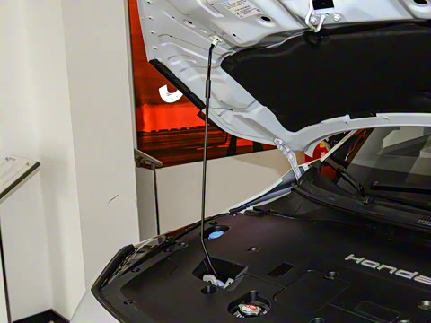 2024�� �Ź��