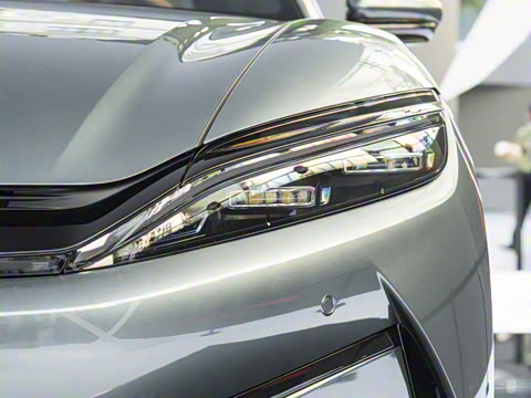 2025�� DM-p ���������״��콢��