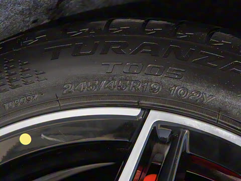 2025�� EV ���������״��콢��