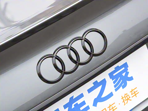 2025�� 200���������� 45 TFSI quattro ��ѡ������