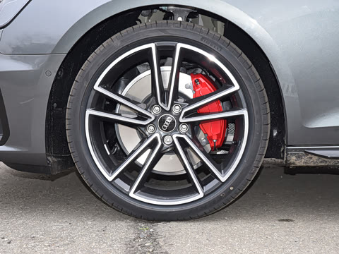 2025�� 200���������� 45 TFSI quattro ��ѡ������