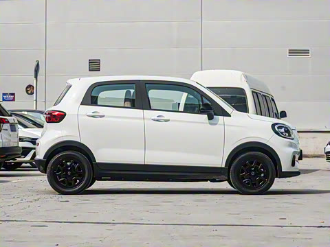 2025�� 310������