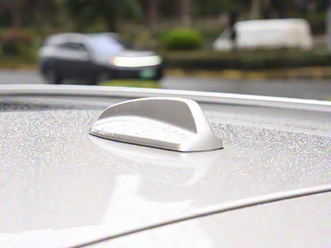 2025�� �Ŀ� T8 ��������� 7��