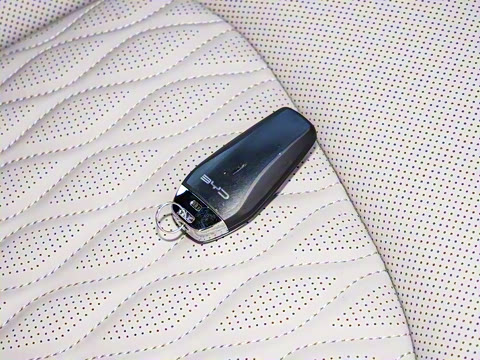 2025�� DM-i �Ǽݰ� 125KM�����